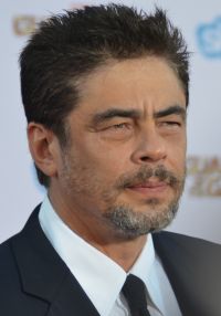 Vai alle frasi di Benicio del Toro