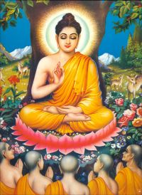 Vai alle frasi di Buddha