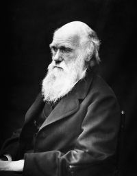 Vai alle frasi di Charles Robert Darwin