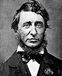Vai alle frasi di Henry David Thoreau