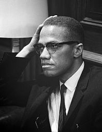 Vai alle frasi di Malcolm X